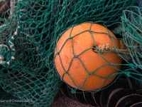 20131002 0021  Fish net